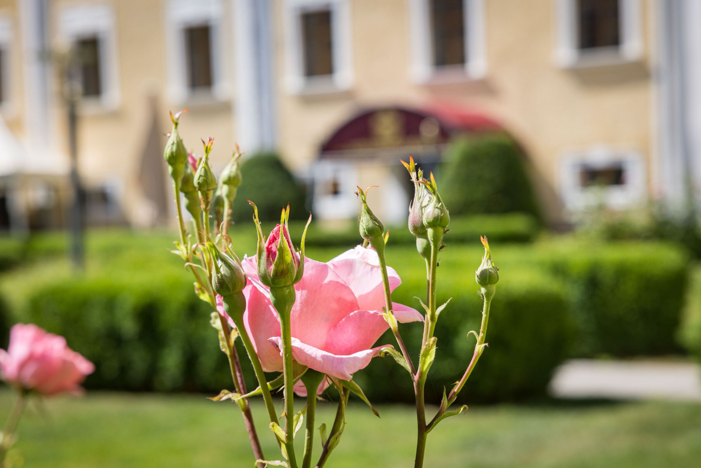 Romantic castle garden and loving ambience at the Hotel Mondsee